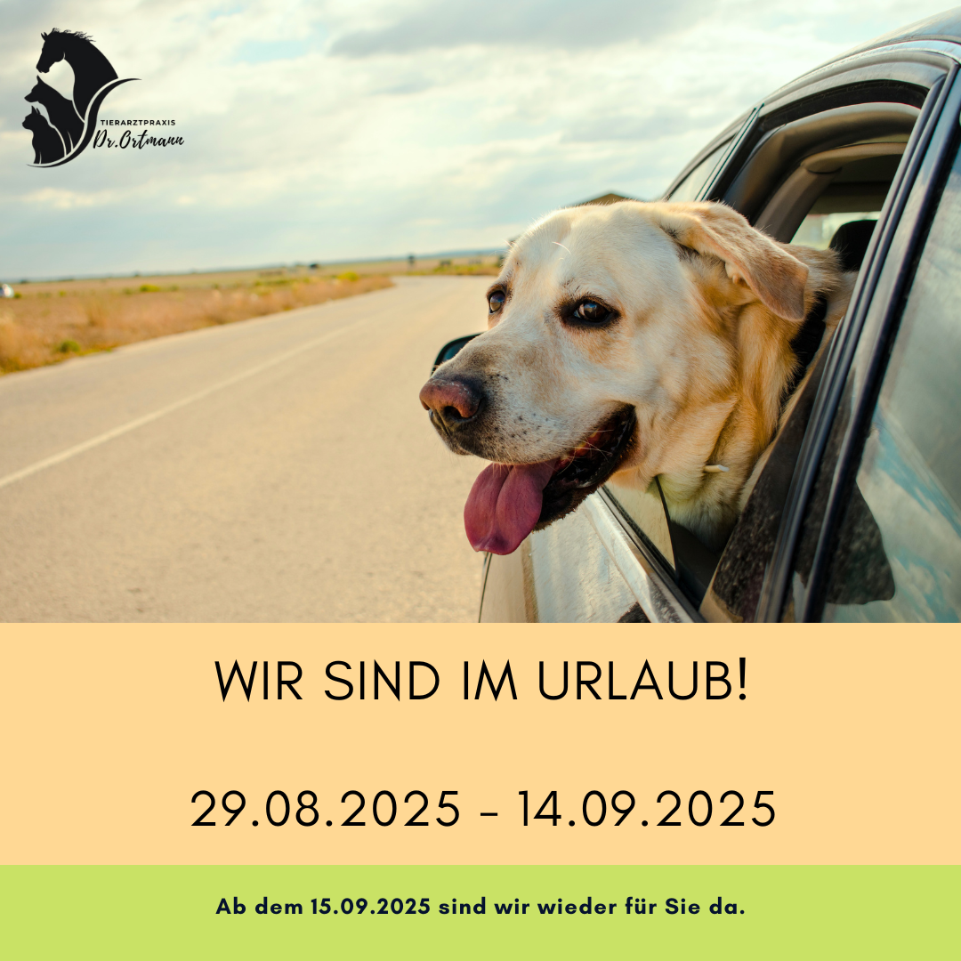 Urlaub 2025
